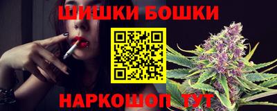 spice Гай