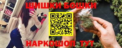spice Гатчина