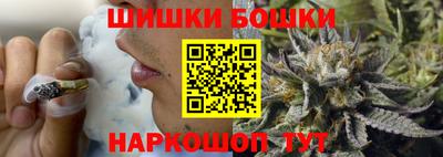 spice Гатчина