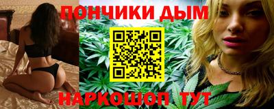 spice Гай