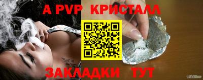 spice Гай