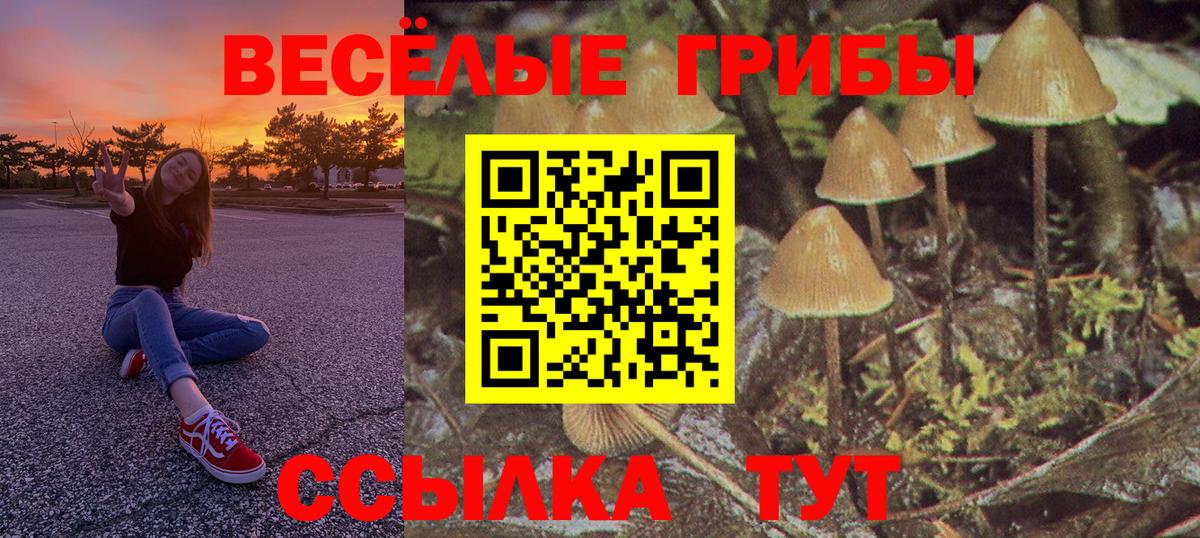 Псилоцибиновые грибы Psilocybe  Вход с VPN  Мирный 