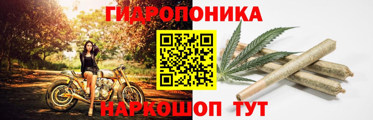Конопля конопля Мирный
